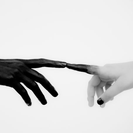 RECAP: Redpill Project Daily Dose Episode 256 | Shadow Presidency