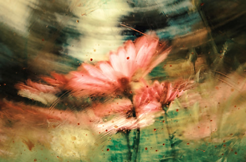 Image by Jr Korpa