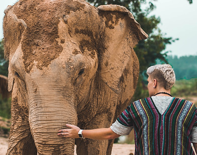 Image by Trinity Treft