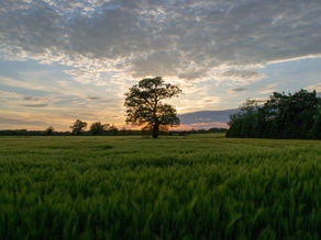 Édito - NL 04/19 - Battre la campagne.