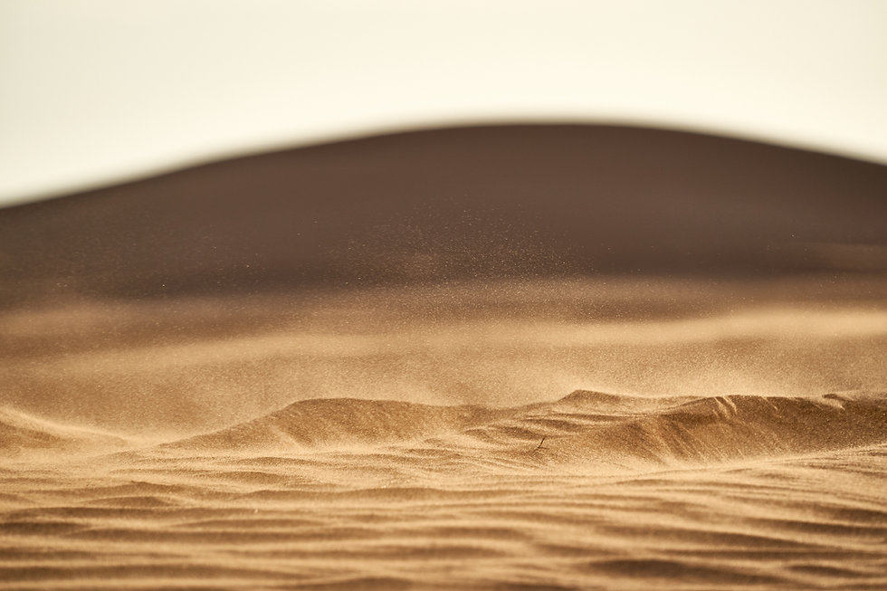 Image by Wolfgang Hasselmann