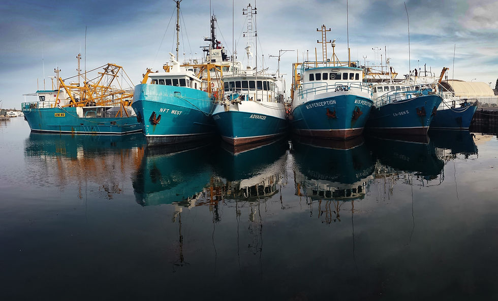 Image by Chris King