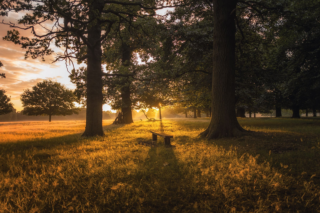 Image by Simon Wilkes