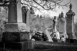 Image by Wendy Scofield