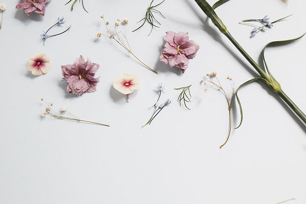Image by Anna Sullivan