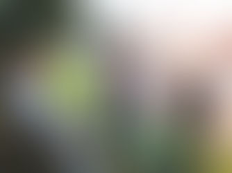 Keeping Your Teen Substance-Free During the Summer