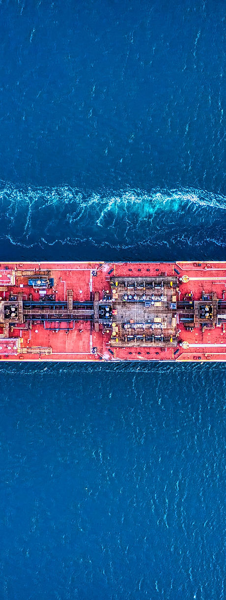 Image by Cameron Venti