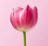 Image by RoonZ nl