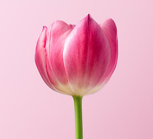 Image by RoonZ nl