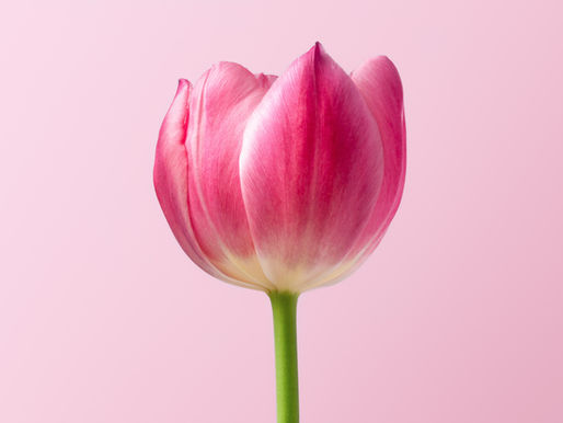 Happiness is waiting-ACIM Lesson #102