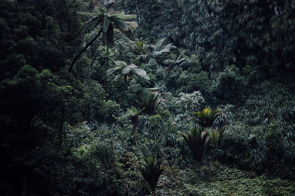 Image by Tim Marshall