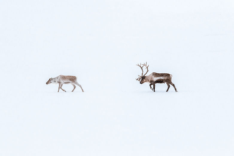 Image by Marcus Löfvenberg