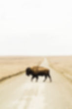 Image by Simon Maage