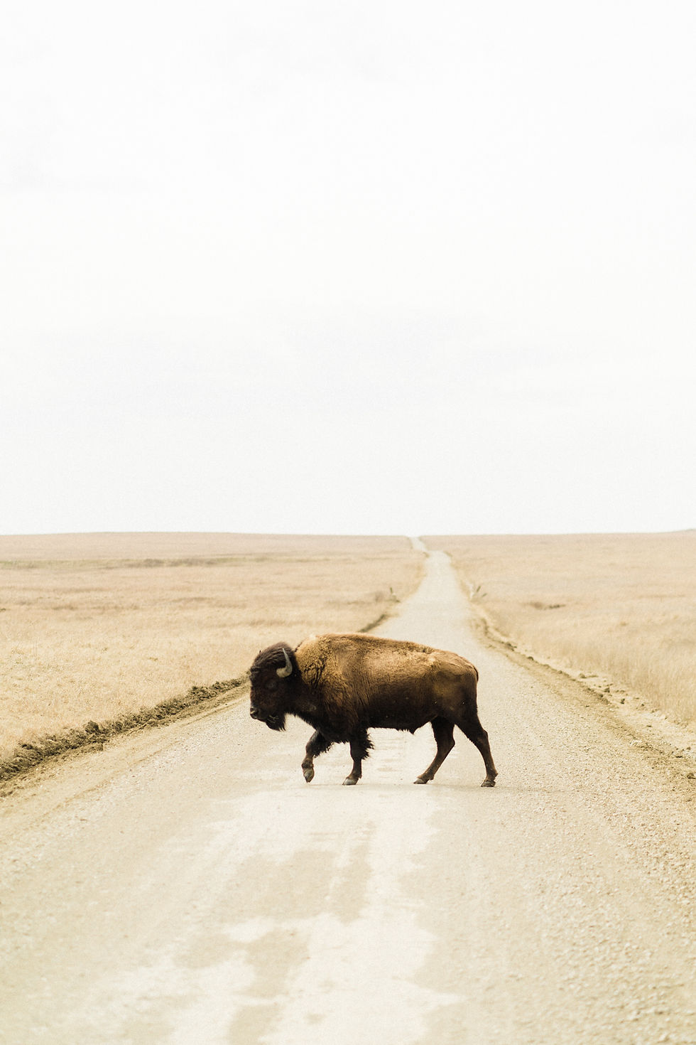 Image by Simon Maage