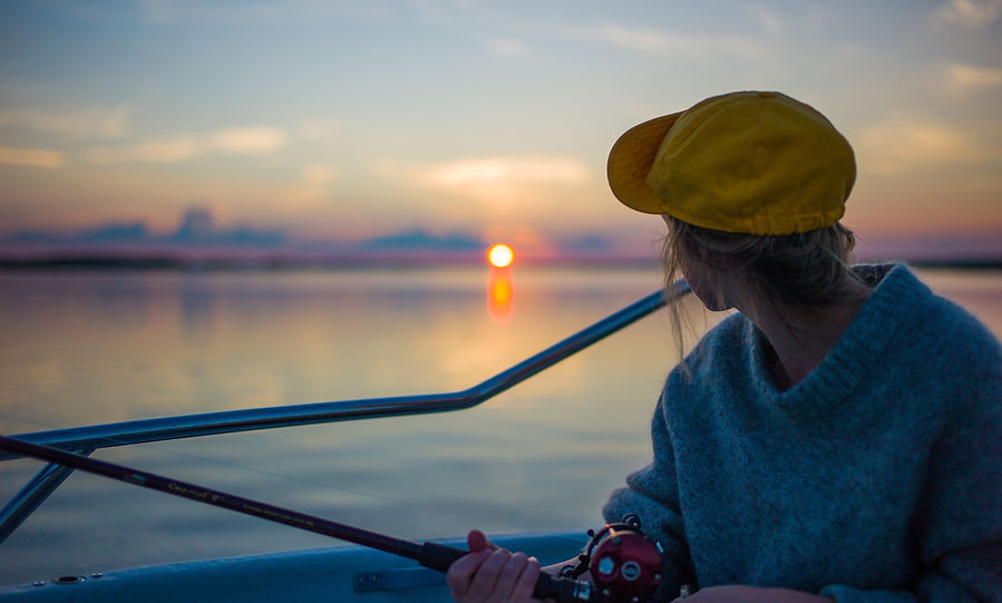Image by Anders Wideskott