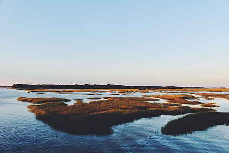 Image by Bre Smith