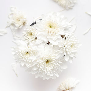 Image by Hisu lee