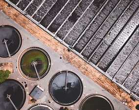 Image by Ivan Bandura