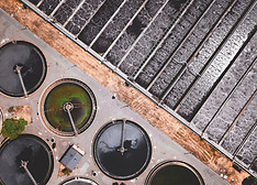 Image by Ivan Bandura