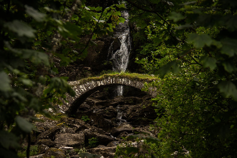 Waterfall over stone bridge and greenery -Image by Luke Paris - Visit The Oakbridge Institute Blue Circle saying Birth Date - founded by Medium Michael Mayo