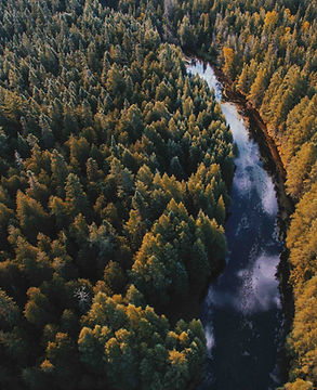 Image by Aaron Burden