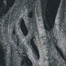 Electrospun Nanofiber applications in tissue engineering - 3D structure