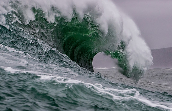 Image by Todd Turner