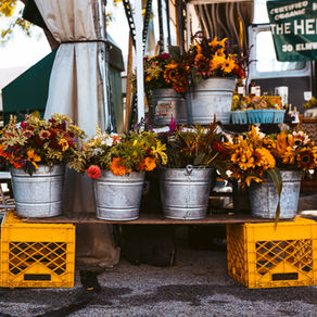 Top 10 Things to Do on Salt Spring Island