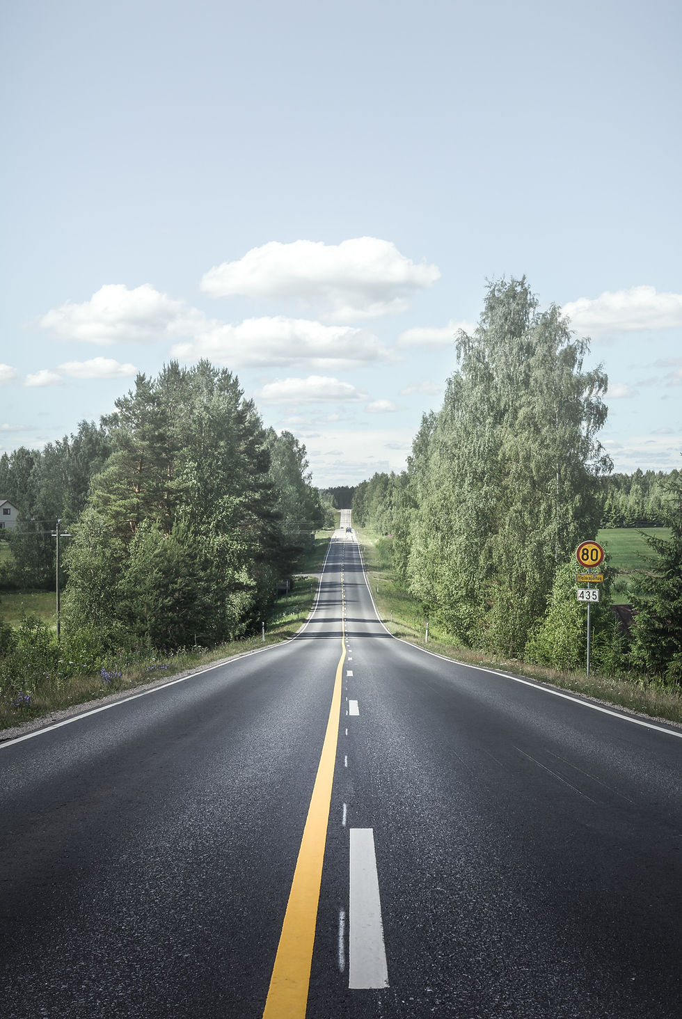 Envision what a cross country trip means to you. Photo includes a country road lined with trees.