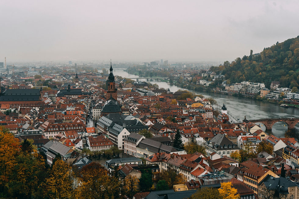 Tysk universitet, Kaiserslautern, Hartz, Schweitz, Ransomware, Cyberangreb, IT-sikkerhed