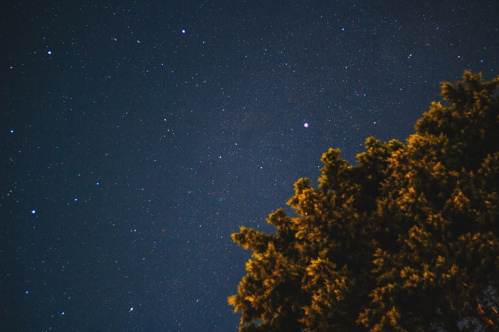 Image by Dev Benjamin