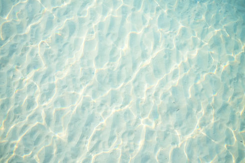 Image by Mink Mingle