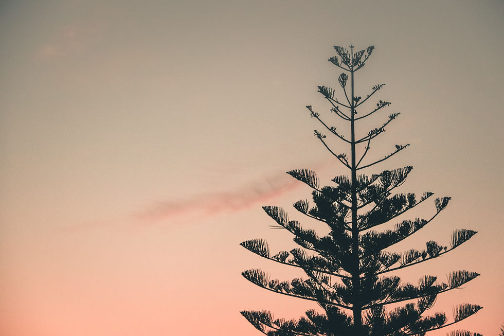 Image by Filippos Sdralias