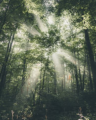 Image by Maxx Gong