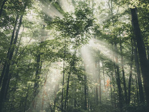 Reclaiming the Impossible