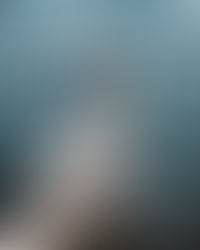 Ich fühl mich wie ein Schwan