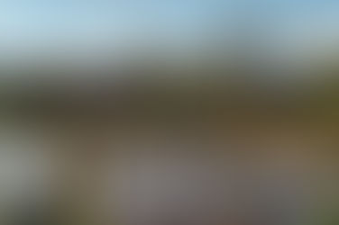  Hurricane Dorian-Preparation for natural disasters 