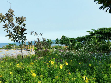 Submit a Guest Post in Miamisburg, Ohio