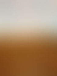 6 redenen om Jaisalmer, de gouden stad van Rajasthan te bezoeken