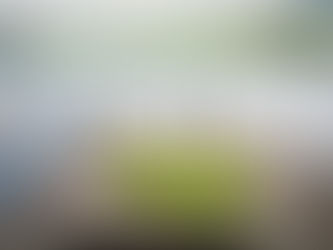 The Timeless Tradition of Finnish Saunas: A Path to Relaxation and Wellness