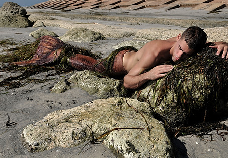 Merman Suite clothing optional resort