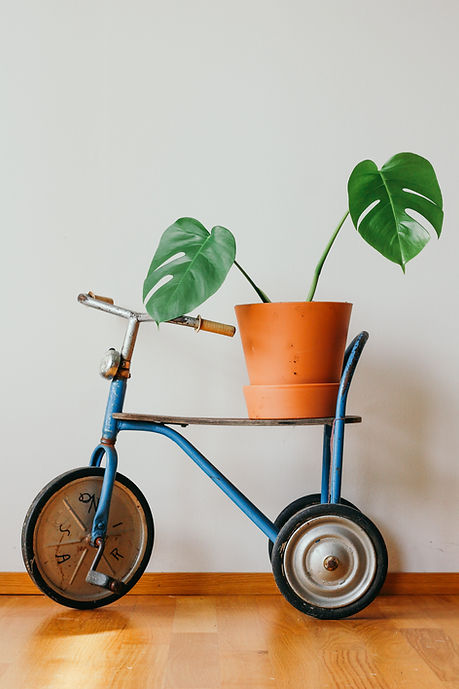 Image by Brina Blum