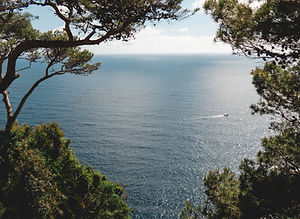 Felicity Benn Holidays - Italy