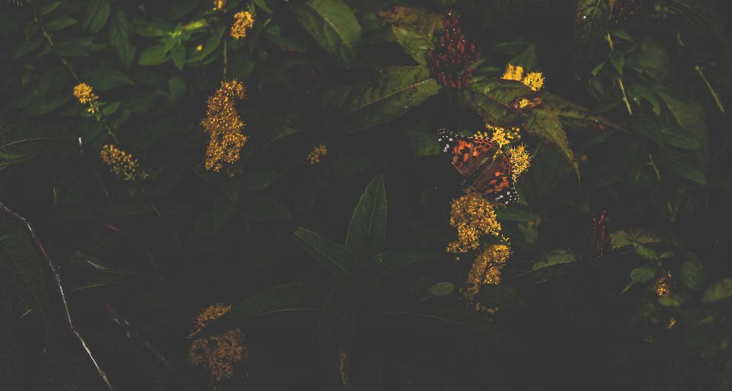Image by McKenna Estes