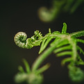 Image by Kai Wenzel