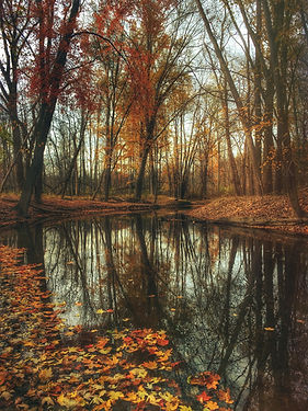 Image by Aaron Burden