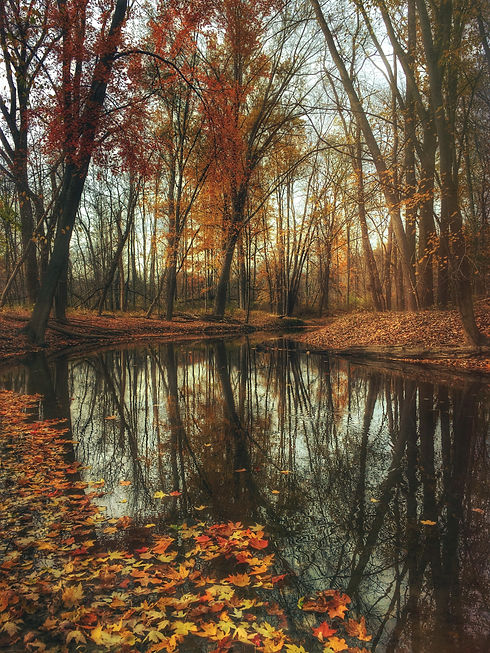 Image by Aaron Burden