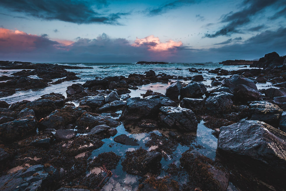 Image by Thom Holmes