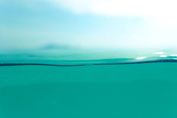 Image by Linus Nylund