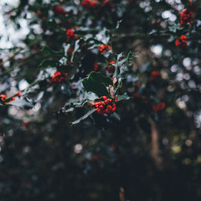 4 Tips For Talking About Estate Planning With Your Family Over the Holidays